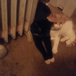 Meet your Posher, Eric